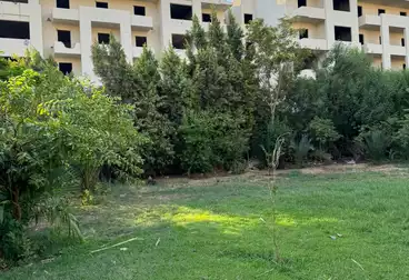 https://aqarmap.com.eg/en/listing/5014693-for-sale-cairo-el-maadi-zahraa-el-maadi-el-merag-el-sofli