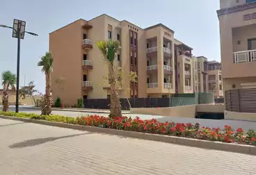 Apartments For sale in Zayed Greens 4 Compound - Location 