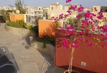 Penthouse For sale in Nakhil Village