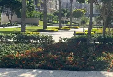 Apartments For sale in Fifth Square Compound - AlMarasem