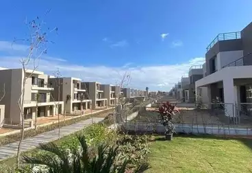 Town House villa for sale (Alexandria - Palm Hills) 184 m