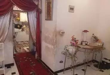 https://aqarmap.com.eg/ar/listing/5039086-for-sale-alexandria-l-jmy-lbytsh-el-reyad-st