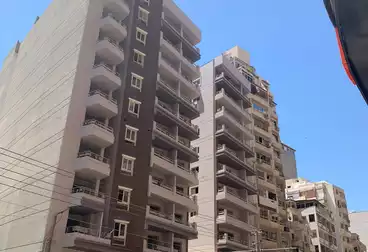 https://aqarmap.com.eg/ar/listing/5053534-for-sale-alexandria-saba-basha-abd-el-salam-aref-st