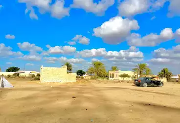 Land For sale in El Ameed