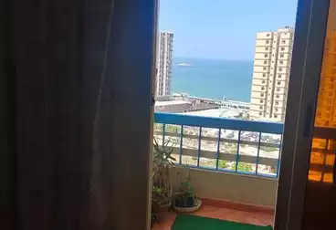 https://aqarmap.com.eg/ar/listing/5078869-for-rent-alexandria-el-asafra-abd-el-haleem-mahmoud-st