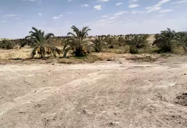 https://aqarmap.com.eg/en/listing/5081468-for-sale-cairo-ljyz-bahariya-oasis