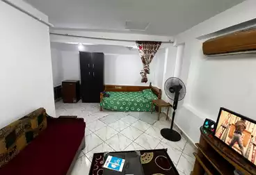 https://aqarmap.com.eg/en/listing/5098671-for-rent-cairo-dokki