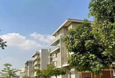 Apartment 165m Resale Club park Mountain View iCity October