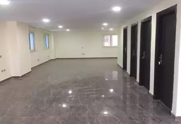 Administrative For rent in Abbas El Akkad St.