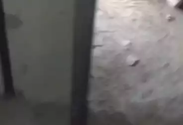 Commercial For rent