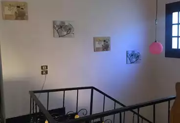 undefined undefined - 3 rooms - floor 1
