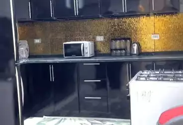 Serviced Apartments For rent - 3 rooms - floor 6
