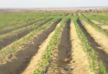 Farm For sale