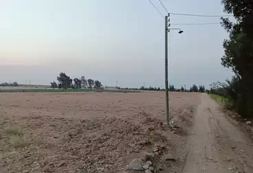 Farm For sale