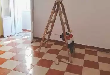 Apartments For sale - 3 rooms - floor 0