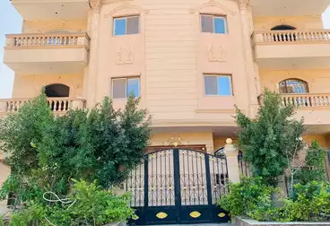 Apartments For rent - 3 rooms - floor 0