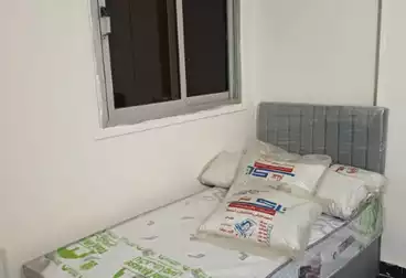 Shared Room For rent - floor 1