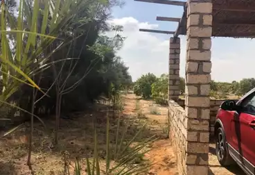 Farm For sale