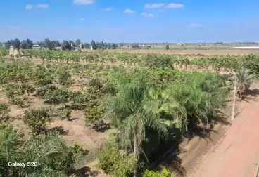 Farm For sale