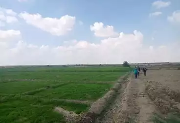 Farm For sale