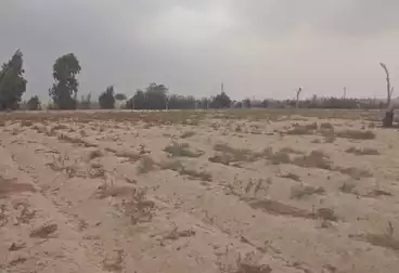 Farm For sale