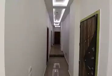 Apartments For rent - 3 rooms - floor 5