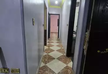 شقق للإيجار - 3 غرف - بالدور 6