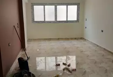 شقق للإيجار - 3 غرف - بالدور 14