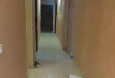 Apartments For rent - 3 rooms - floor 0