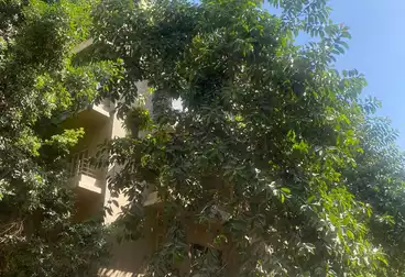 Properties For sale - 5 rooms - floor 4