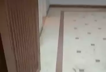 Apartments For rent - 3 rooms - floor 1