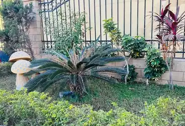 شقق للبيع - 3 غرف - بالدور 0
