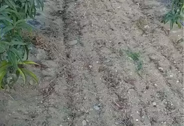 Farm For sale