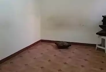 Apartments For rent - 3 rooms - floor 4