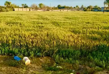 Farm For sale