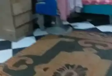 شقق للبيع - 3 غرف - بالدور 0