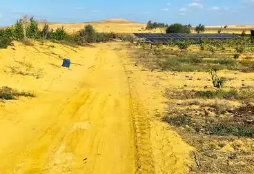أرض زراعية للبيع