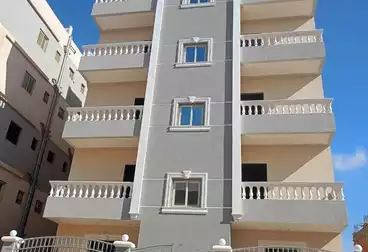 شقق للبيع - 3 غرف - بالدور 1