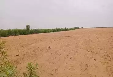 أرض زراعية للبيع