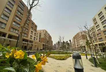 Apartments For sale - 3 rooms - floor 4