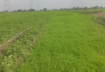 أرض زراعية للبيع