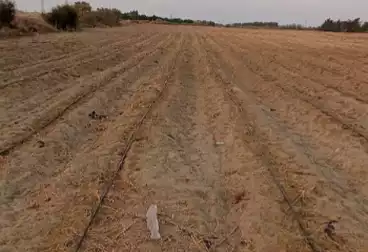 Farm For sale
