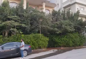 فلل للبيع - 12 غرف