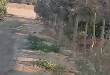 أرض زراعية للبيع