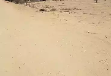 أراضي للبيع