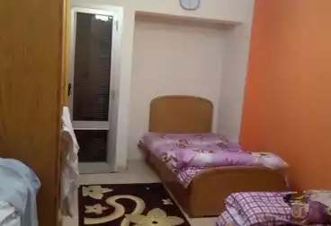 شقق مفروشة للإيجار - 2 غرف - بالدور 2