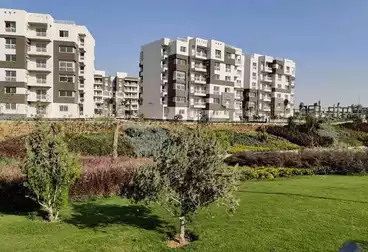 Apartments For rent - 2 rooms - floor 2