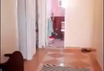 Apartments For sale - 2 rooms - floor 7