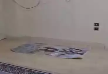 Properties For rent - 3 rooms - floor 4