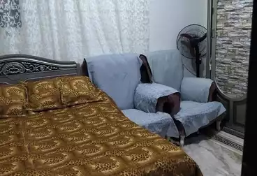 شقق للبيع - 2 غرف - بالدور 2